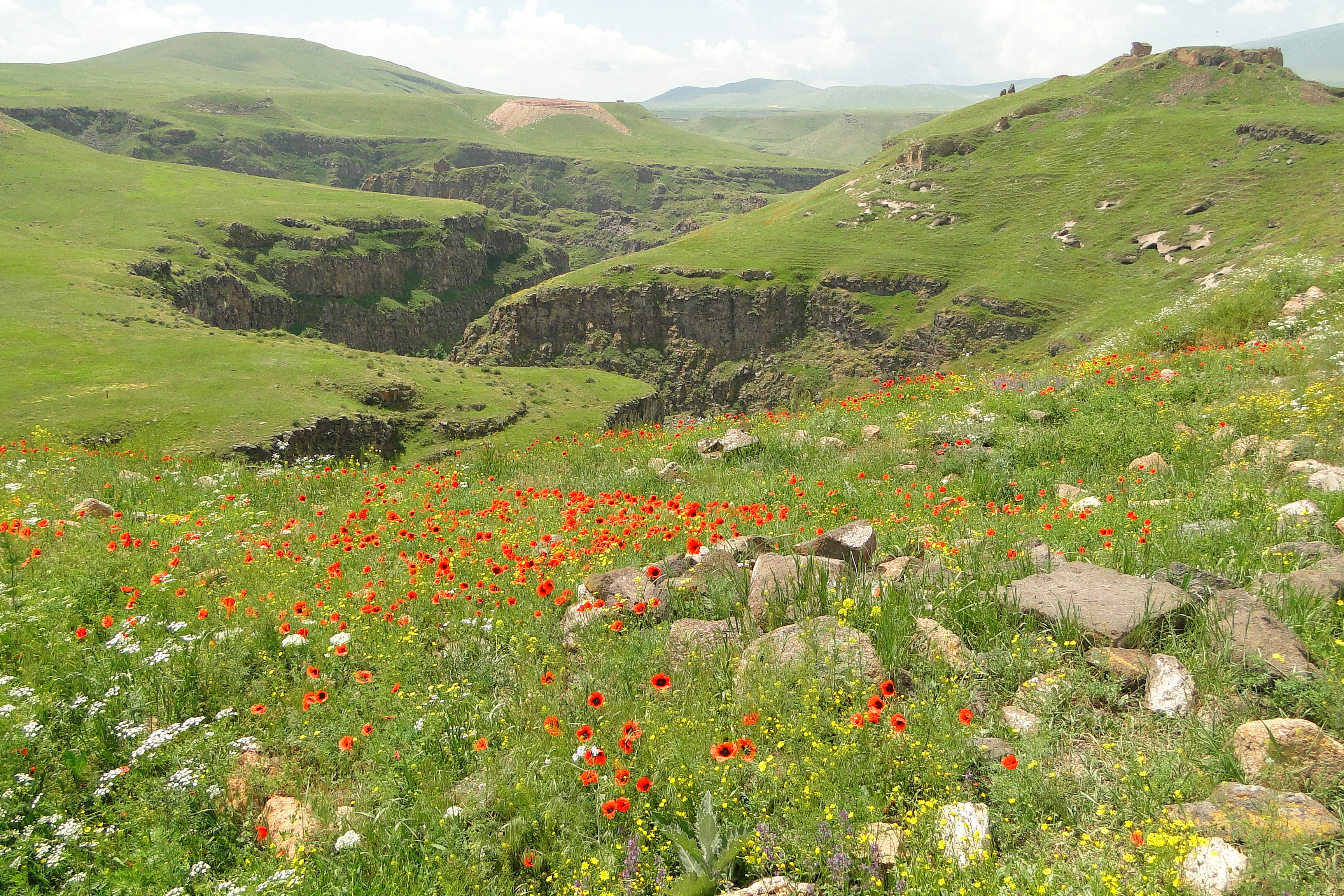 Arpaçay Kanyonu ve Tarihî Ani Harabeleri (Kars), Adam Jones