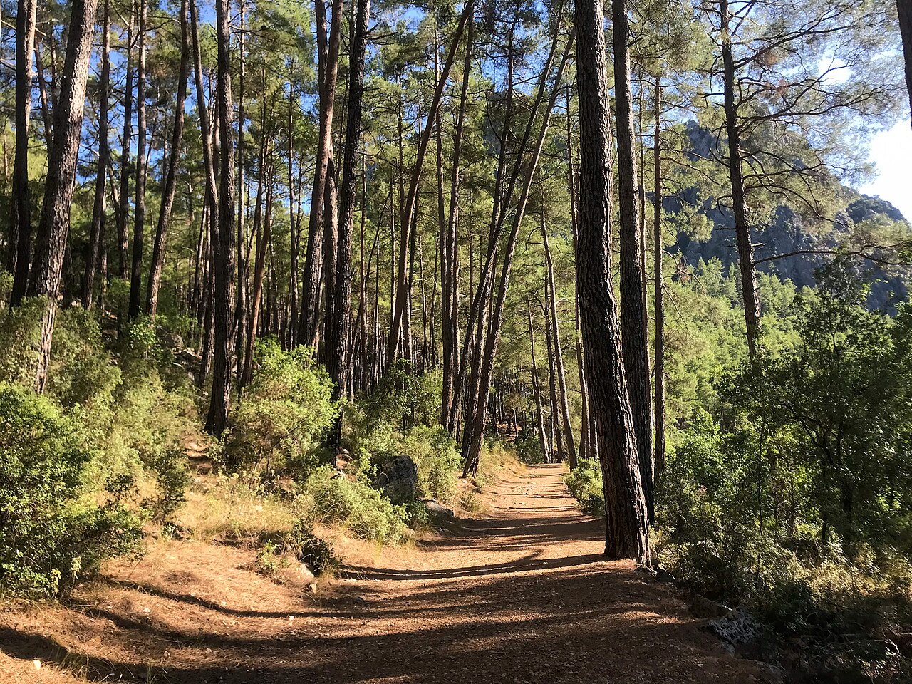 Aziz Paul Yolu (St. Paul Yolu) - Perge / Eğirdir - Yalvaç, Antalya - Isparta, I.Nazlı